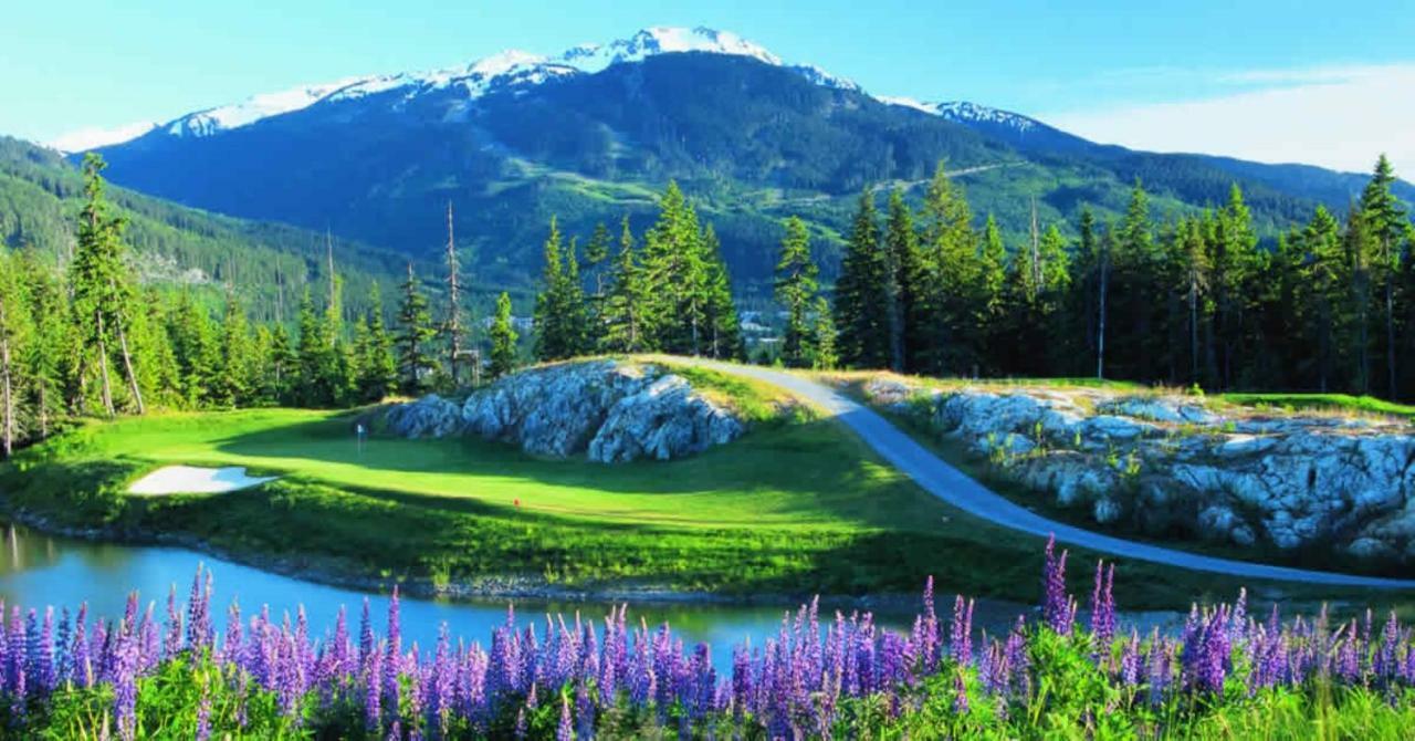 Bright Suite At Ski In/Out Glacier Lodge! Whistler Esterno foto